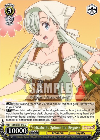 Elizabeth: Options for Disguise - Image 1