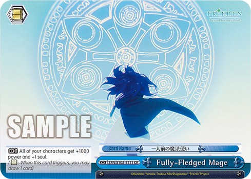 Fully-Fledged Mage - Image 1