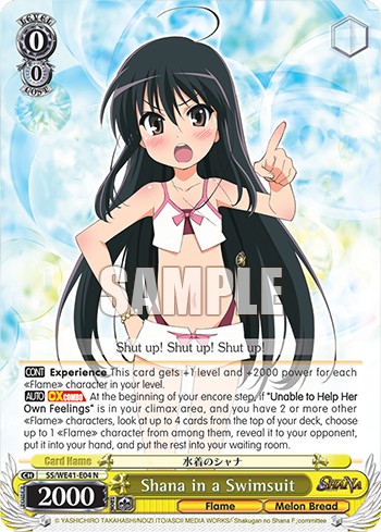Shana in a Swimsuit - Image 1