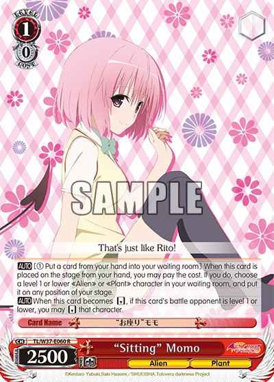 “Sitting” Momo - Image 1