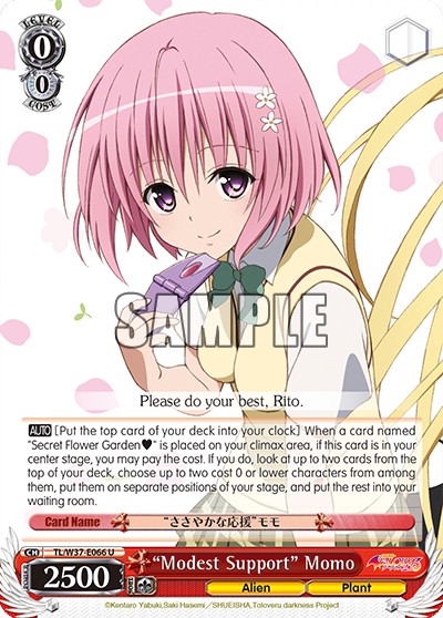 “Modest Support” Momo - Image 1