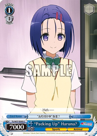 “Packing Up” Haruna? - Image 1