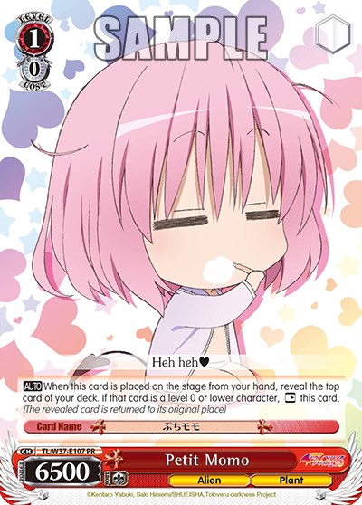 Petit Momo - Image 1