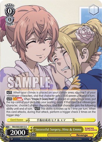 Successful Surgery, Hina & Emma - Image 1