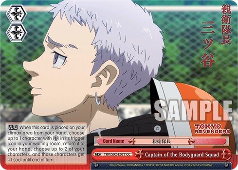 Captain of the Bodyguard Squad - Image 1
