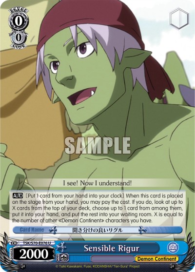 Sensible Rigur - Image 1