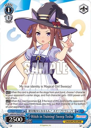 Witch in Training! Sweep Tosho - Image 1