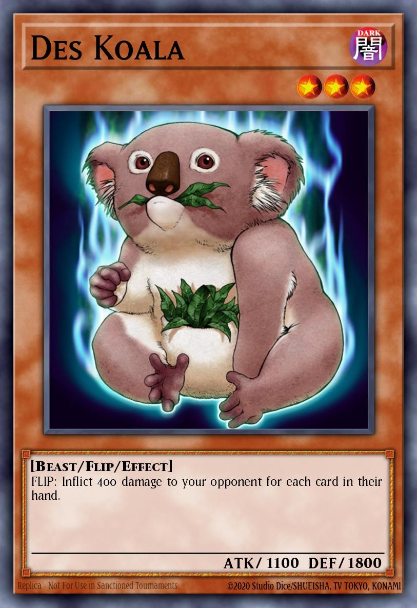 Des Koala - Image 1