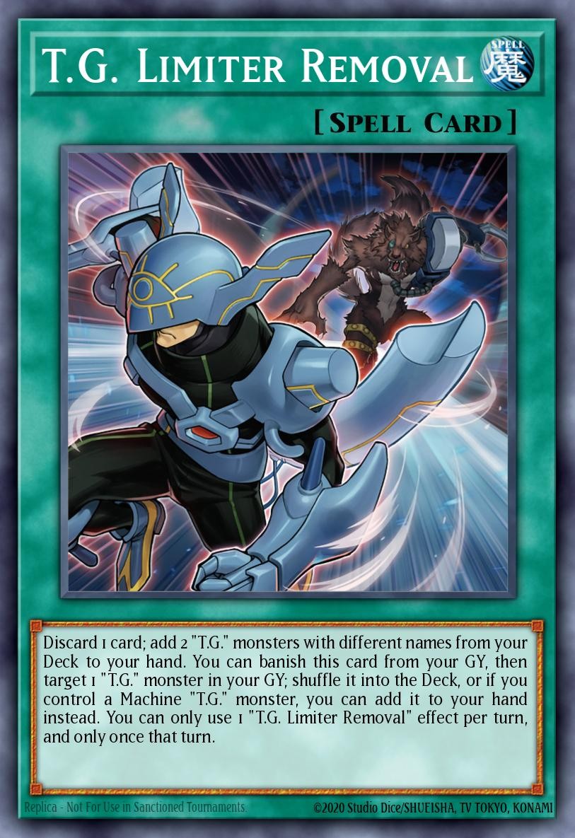 T.G. Limiter Removal - Image 1