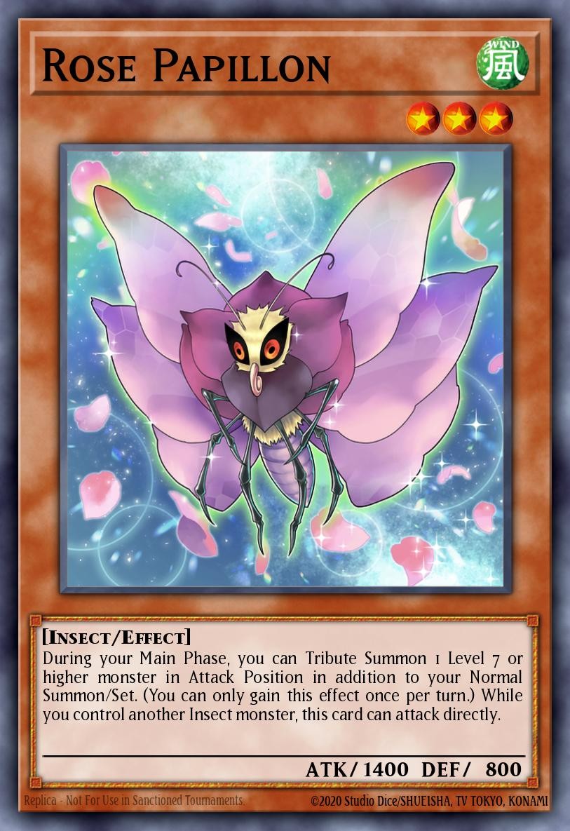 Rose Papillon - Image 1