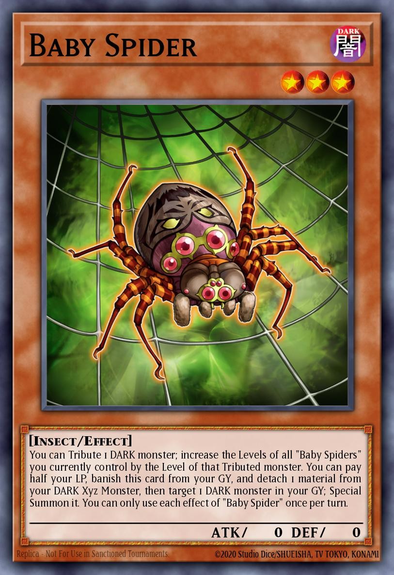 Baby Spider - Image 1