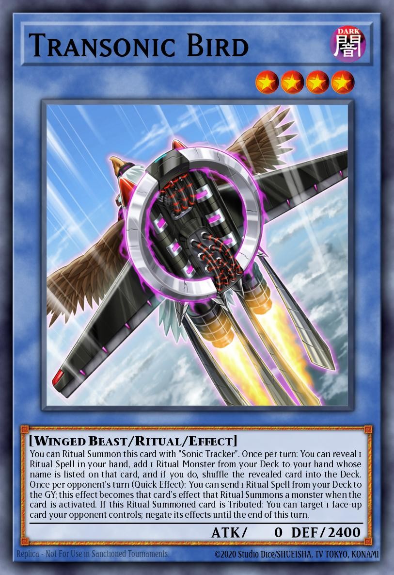 Transonic Bird - Image 1