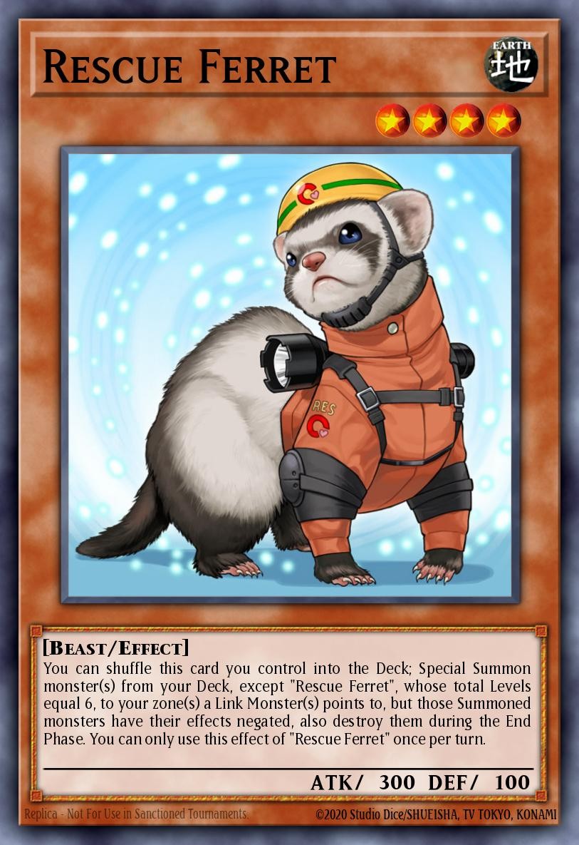Rescue Ferret - Image 1