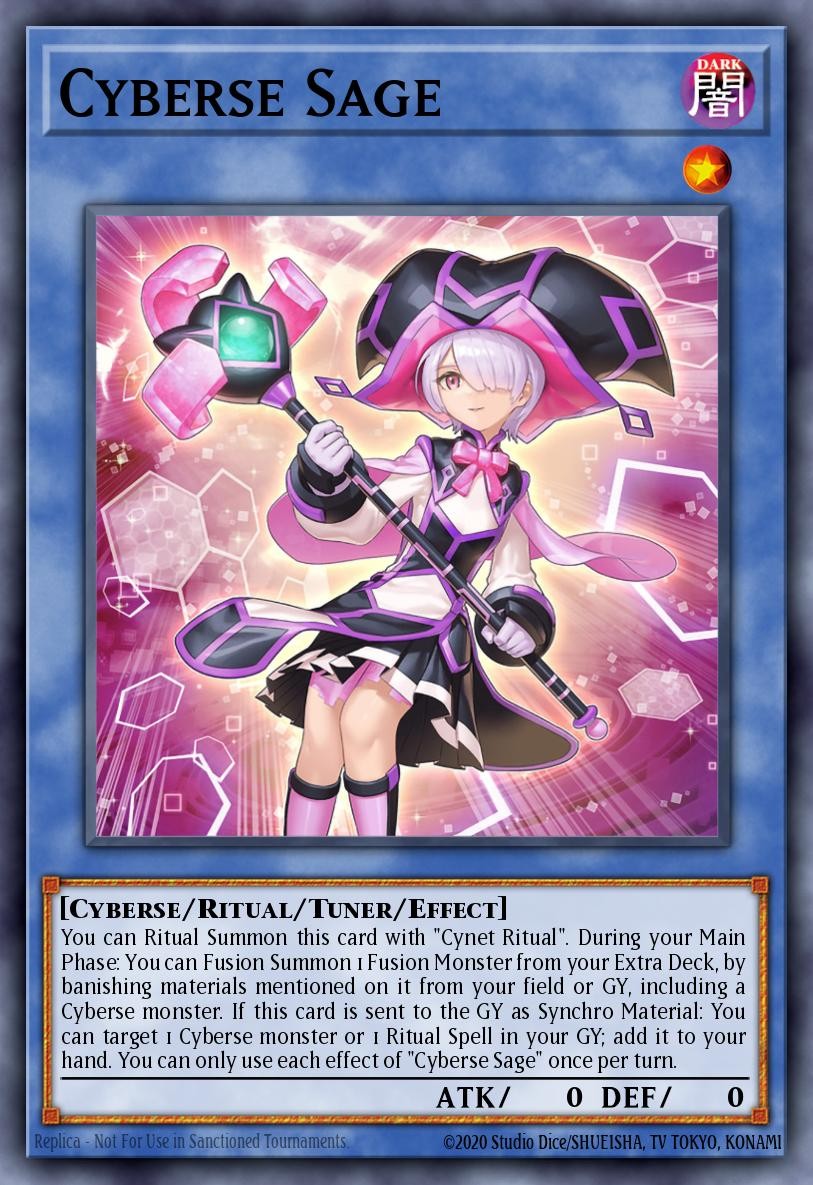 Cyberse Sage - Image 1