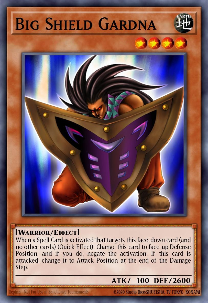 Big Shield Gardna - Image 1