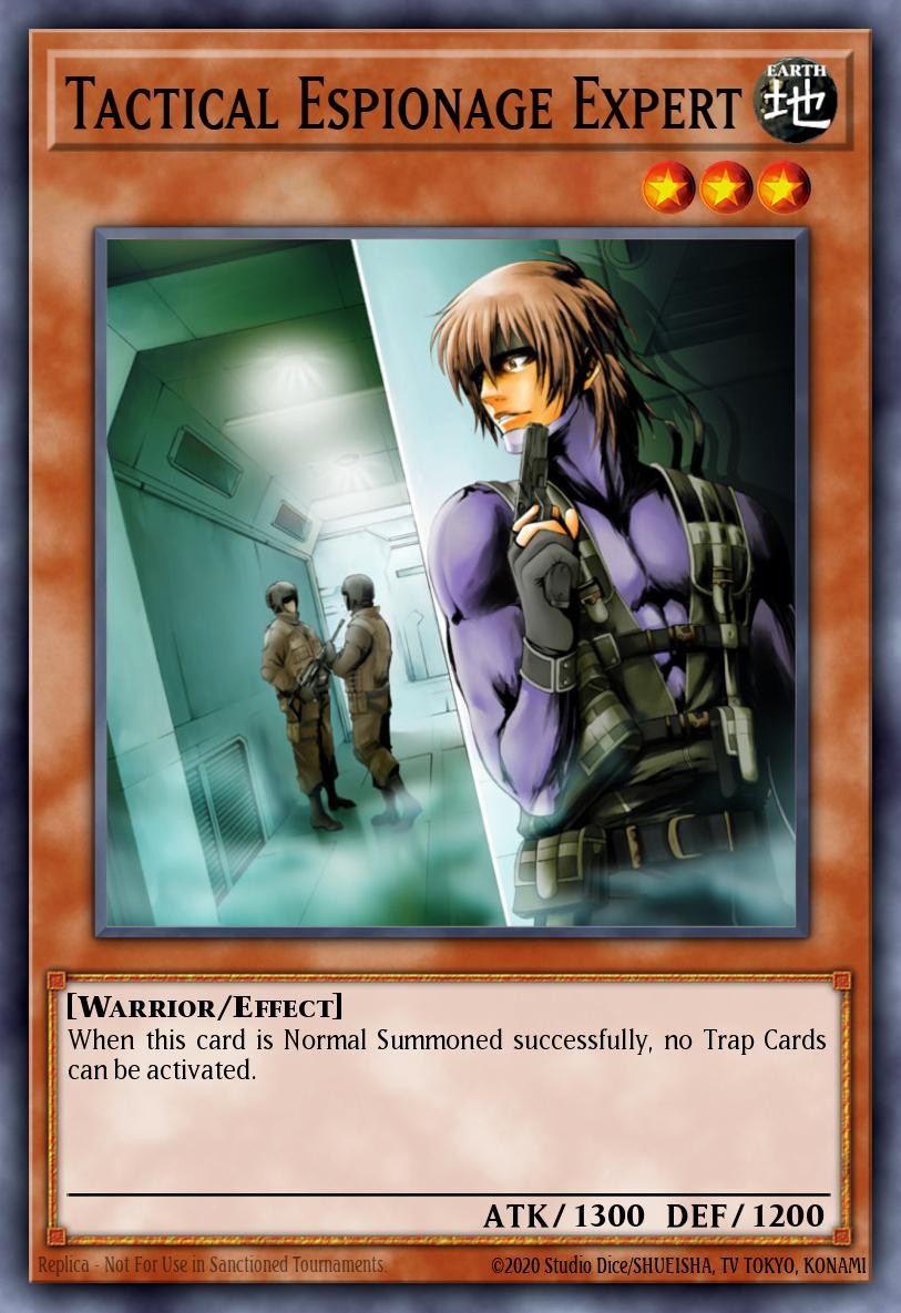 Tactical Espionage Expert - Image 1