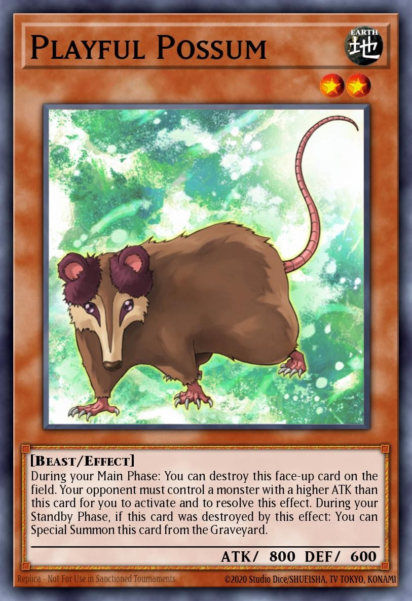Playful Possum - Image 1