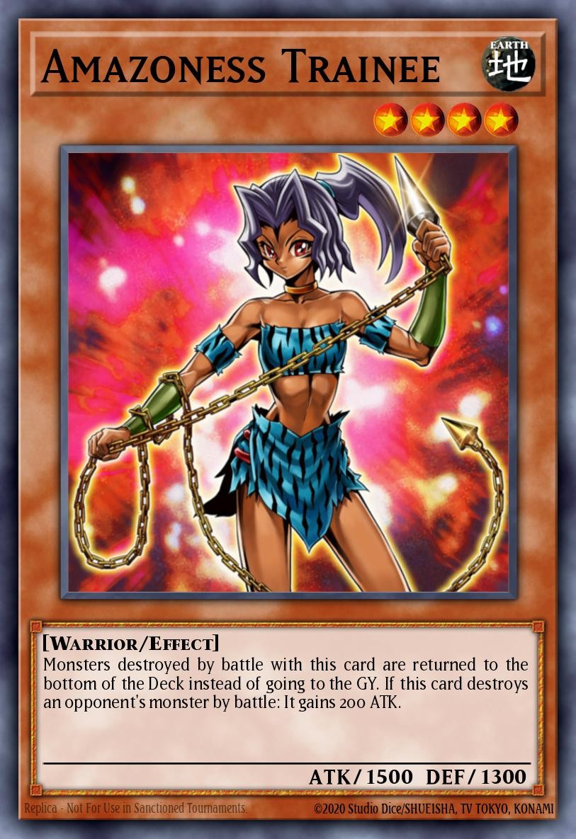 Amazoness Trainee - Image 1