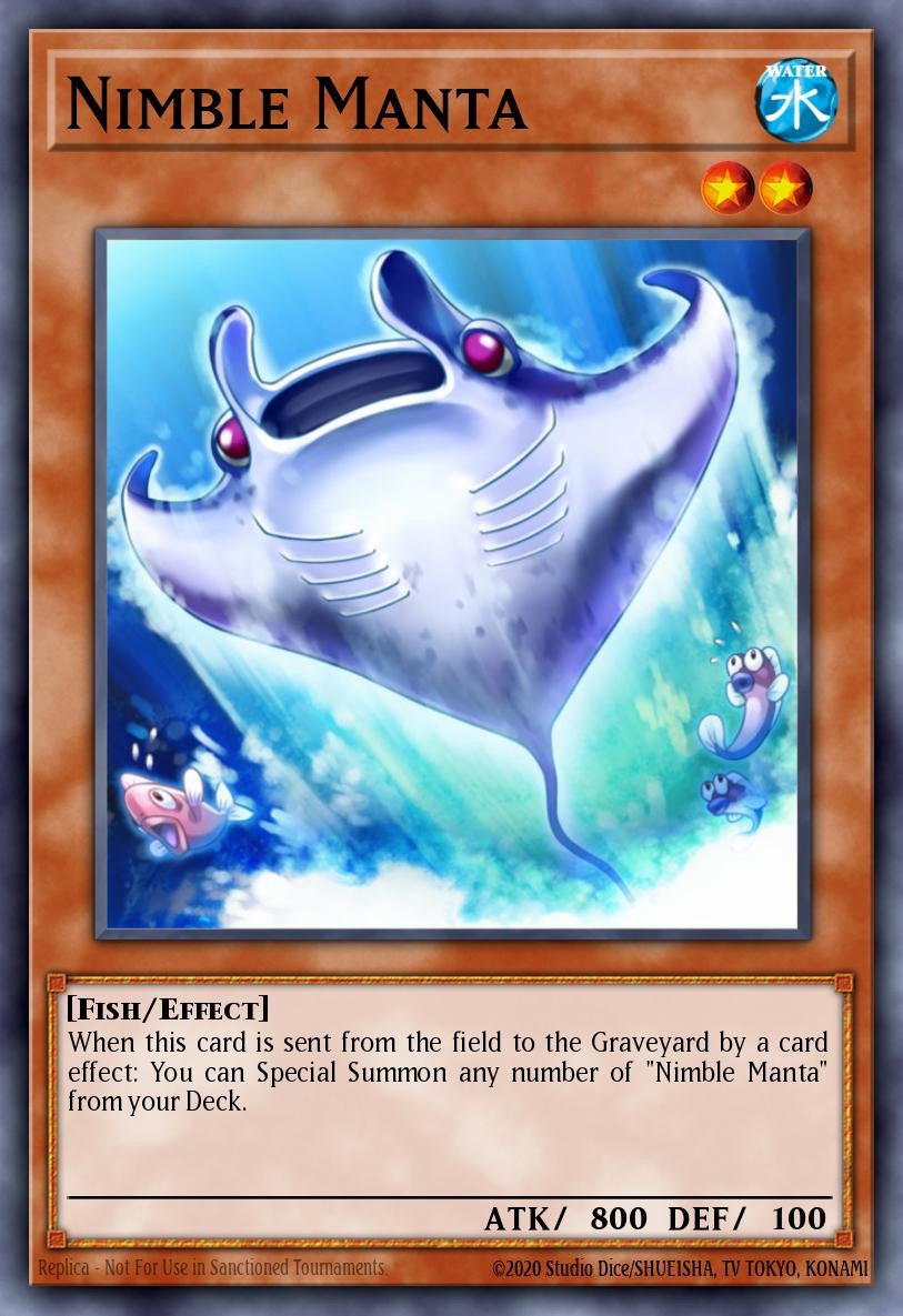 Nimble Manta - Image 1
