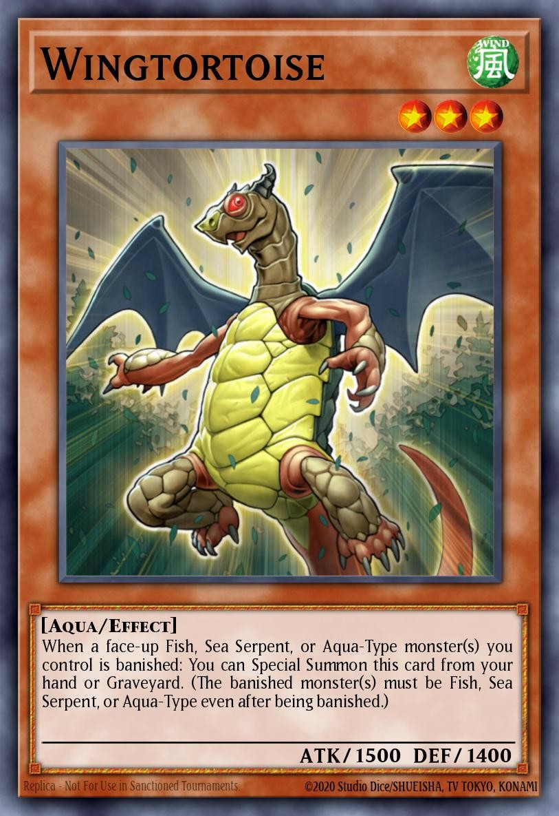 Wingtortoise - Image 1