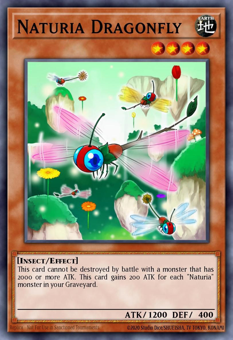 Naturia Dragonfly - Image 1