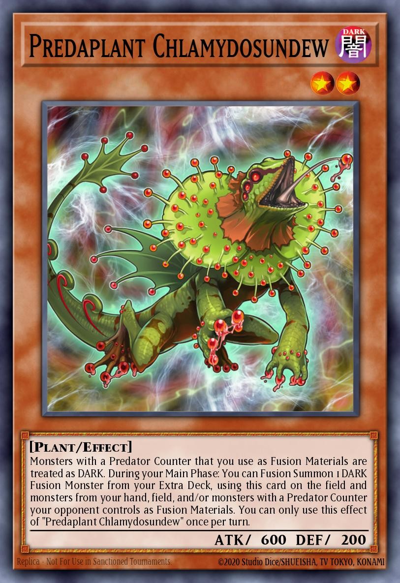 Predaplant Chlamydosundew - Image 1