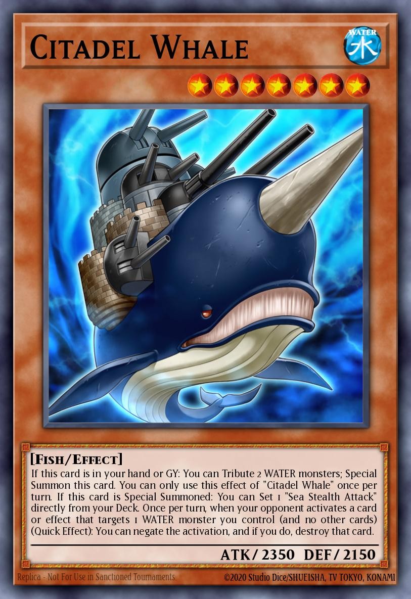 Citadel Whale - Image 1