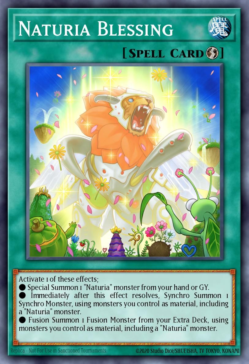 Naturia Blessing - Image 1
