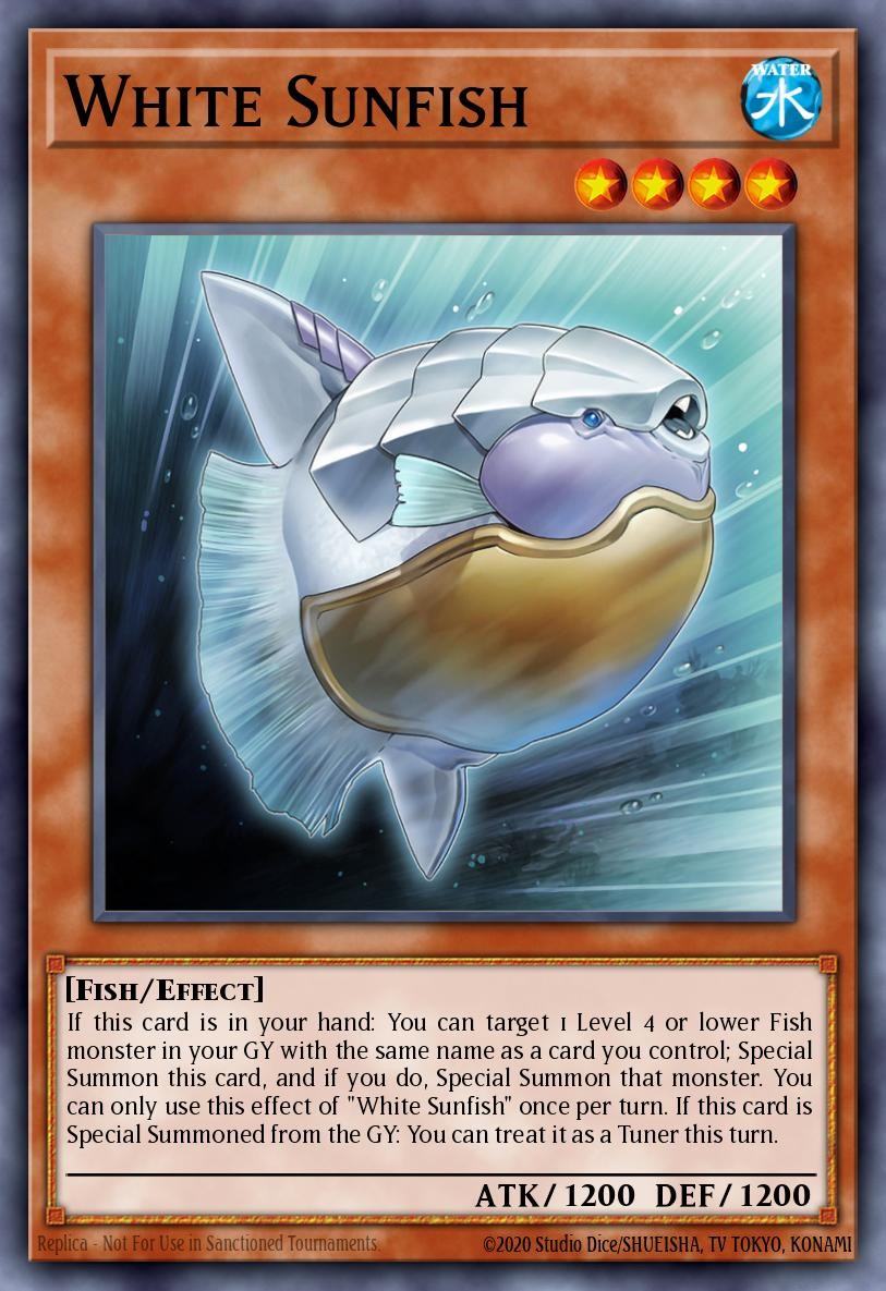 White Sunfish - Image 1