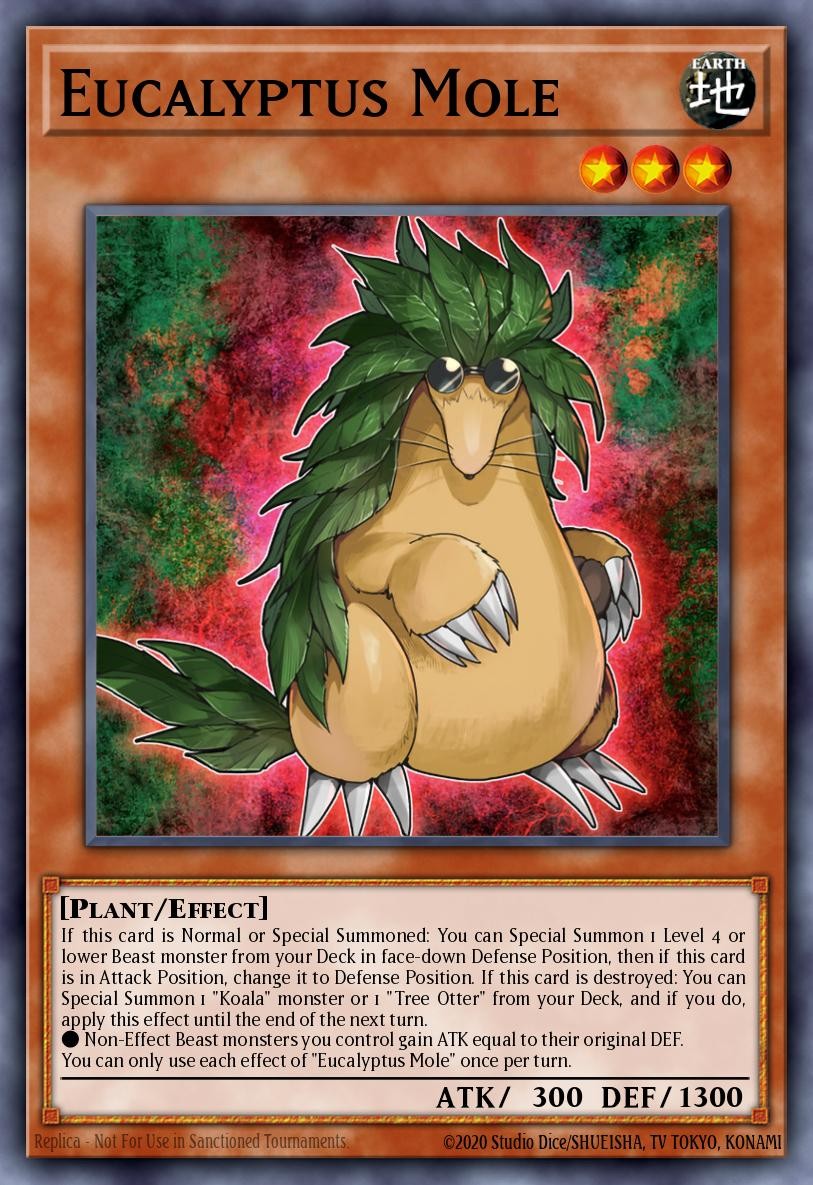 Eucalyptus Mole - Image 1