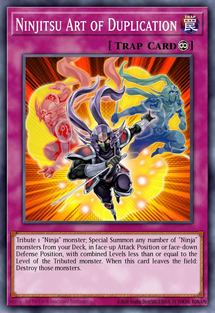 Ninjitsu Art of Duplication - Image 1