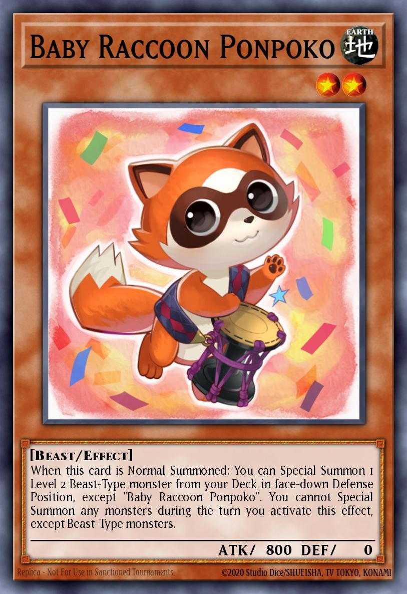 Baby Raccoon Ponpoko - Image 1