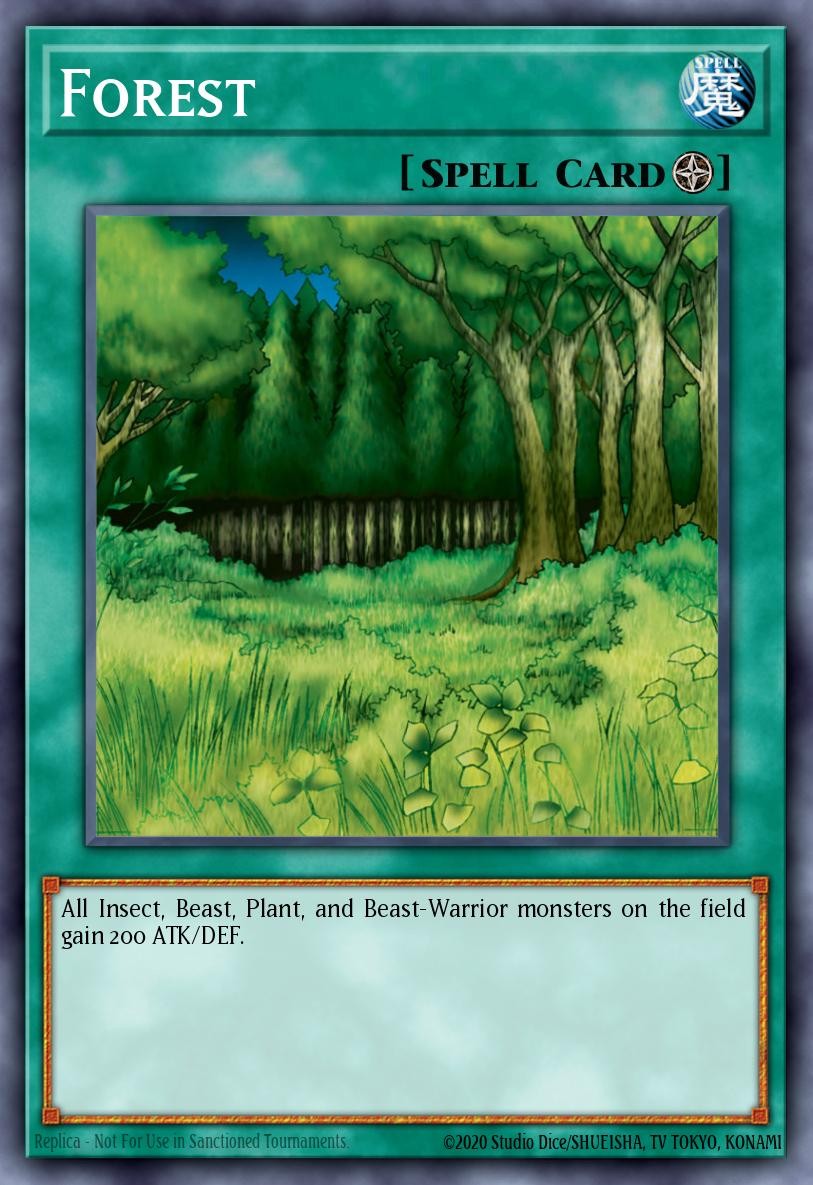 Forest - Image 1