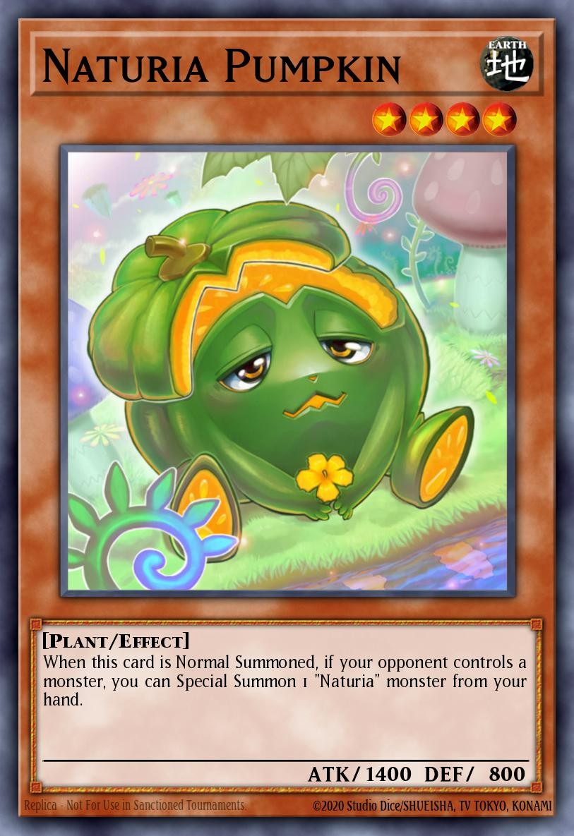 Naturia Pumpkin - Image 1
