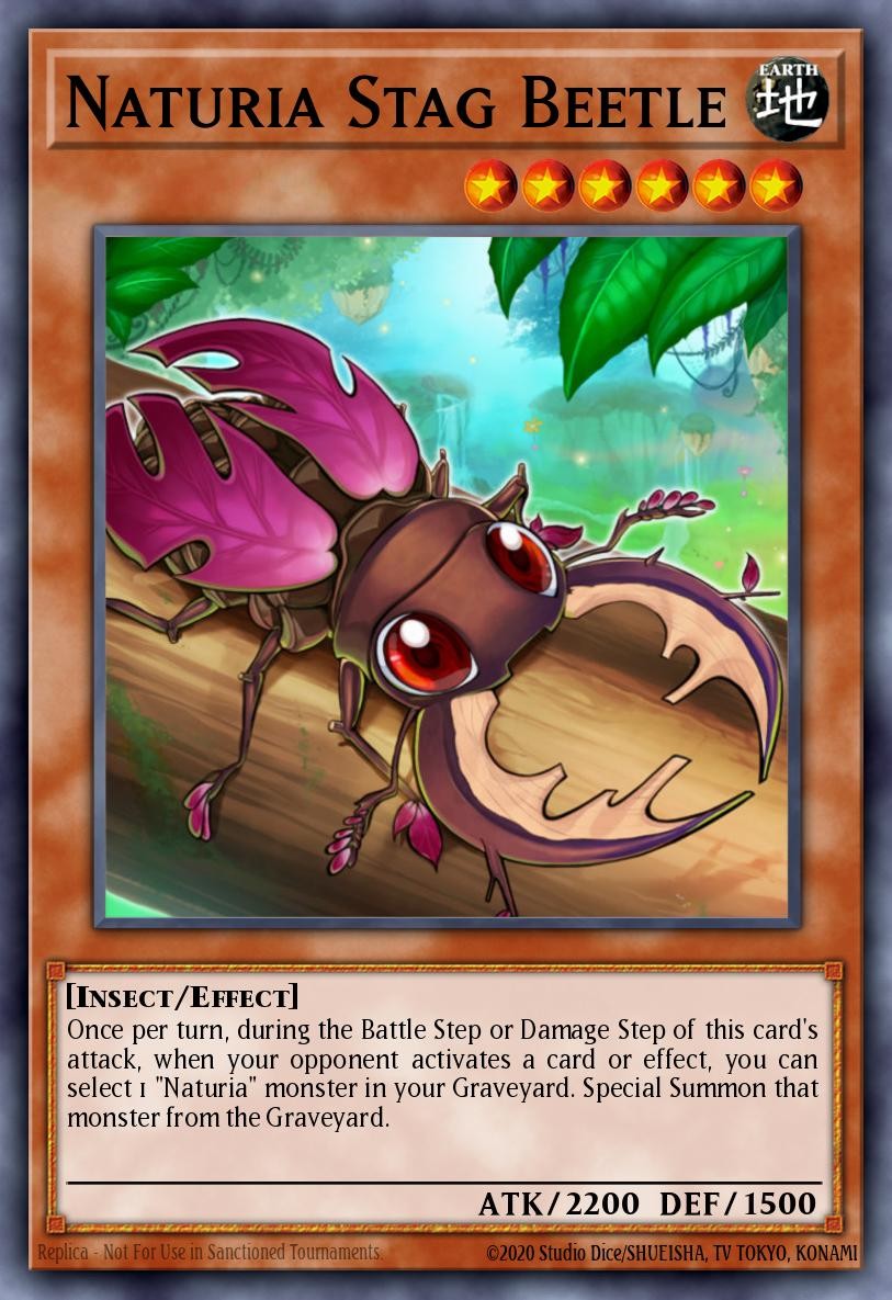 Naturia Stag Beetle - Image 1